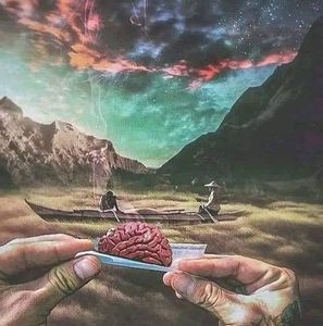 Meet your Posher, Sergio mejia